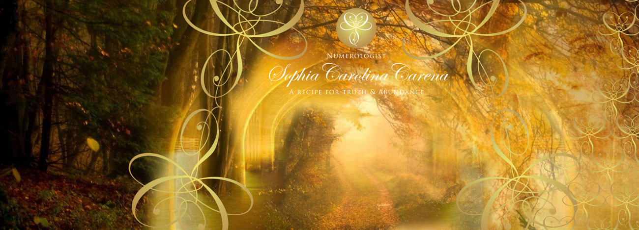 Sophia Carolina Carena Logo