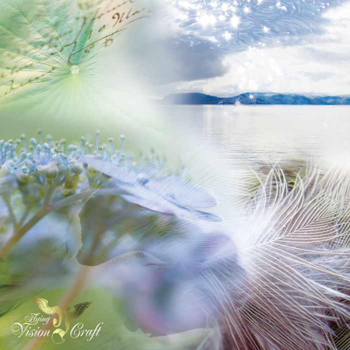 softnature#02_800px